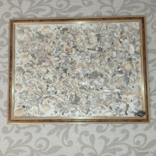 Картина из ракушек, ракушки в рамке для декора