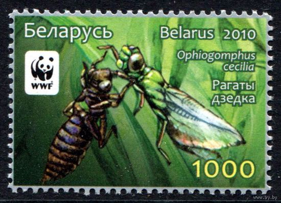 Беларусь 2010 #842. Рогатый дедка (1000 руб)