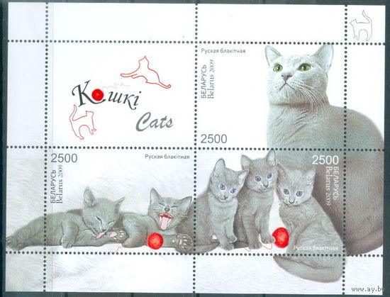 2009. 805-807. Кошки **