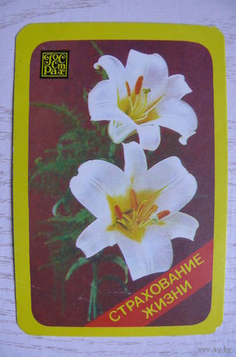 Календарик, 1983, Госстрах. Страхование жизни.