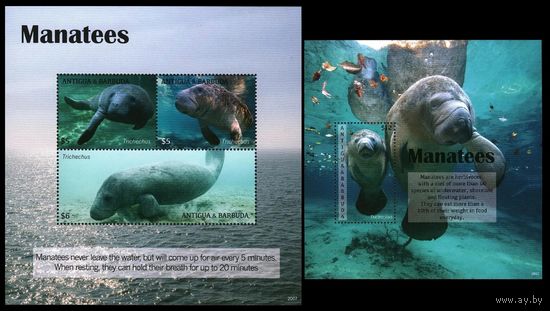 2020 Антигуа и Барбуда 5842-5844KL+B811 Морская фауна - Ламантины 25,50 евро