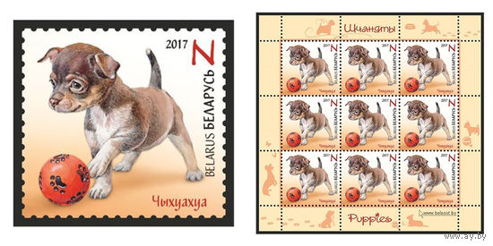2017 БЕЛАРУСЬ  марка или малый лист  "Чихуахуа" MNH