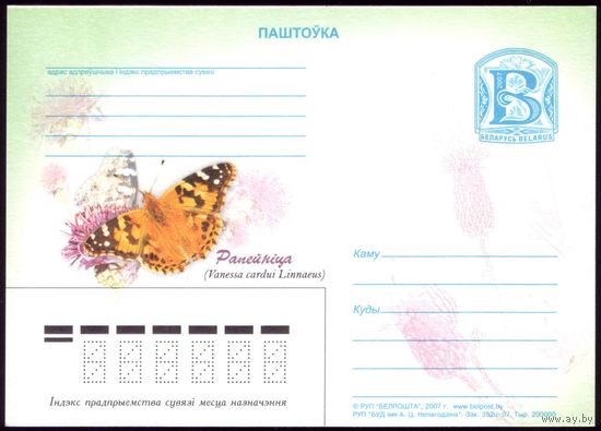 2007 год Бабочка #24