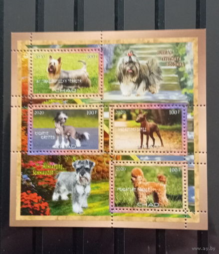 СЕРИЯ Блоков кошки собаки тигры  фауна  MNH
