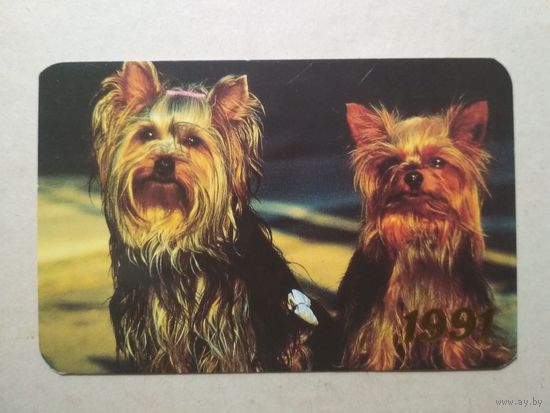 Карманный календарик. Собаки. 1991 год