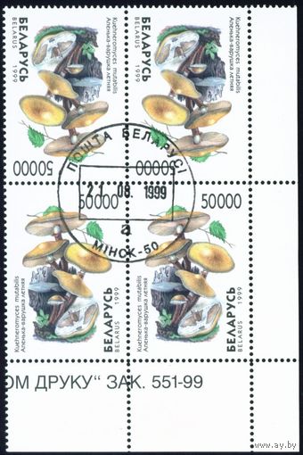 Грибы Беларусь 1999 год (342) квартблок