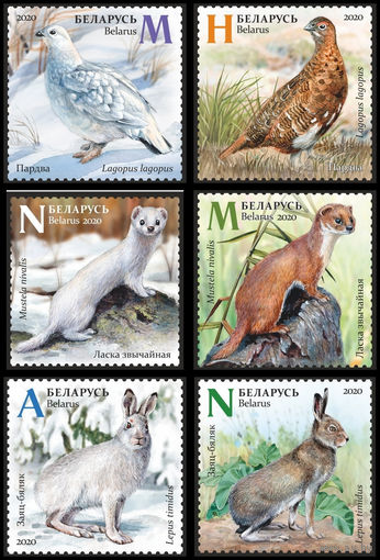 Серия марок 2020г Беларусь MNH 1348-1353  "Сезонная изменчивость"