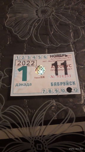 Проездной/ БОБРУЙСК/2022 год
