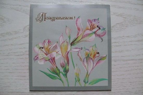 Охотина Н., Поздравляем! 1989, двойная, чистая.