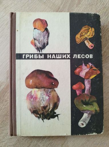 Грибы наших лесов