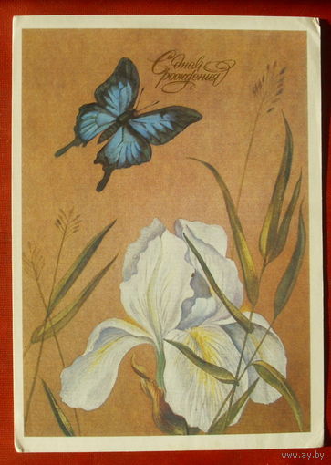 Бабочка. Подписанная. 1984 года. Державин. 1292.