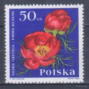 [1161] Польша 1965. Флора.Цветы.Пионы. MNH