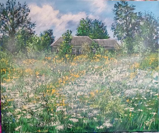 Солнечный день. Поле. Травы