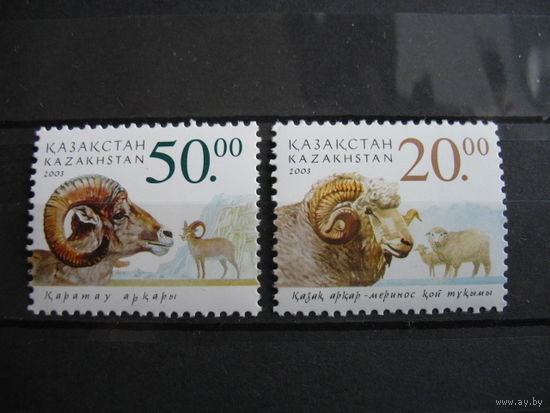 Казахстан. Бараны.  2003 г. 2 фото.  см. условие.
