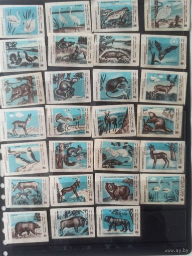 Этикетки спичечные.1977. Заповедники СССР.
