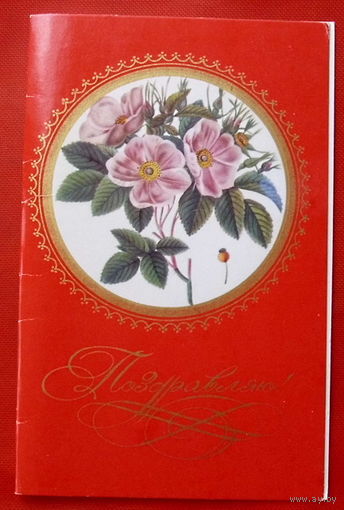 Поздравляю! Чистая. Двойная. 1976 года. Егорова. 344.