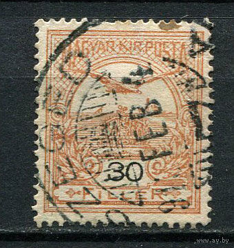 Венгрия - 1908/1913 - Турул и Корона 30f - [Mi.101Y] - 1 марка. Гашеная.  (LOT Ao20)