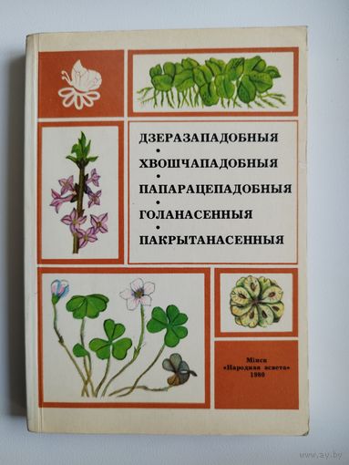 Дзеразападобныя. Хвошчападобныя. Папарацепадобныя. Голанасенныя. Пакрытанасенныя