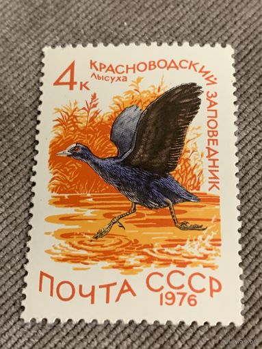 СССР 1976. Лысуха. Марка из серии