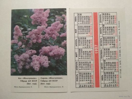 Карманный календарик. Минск. Сирень. 1987 год