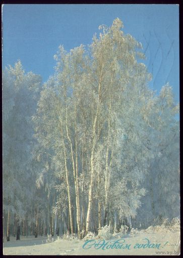 1988 год А.Богданов С Новым Годом!