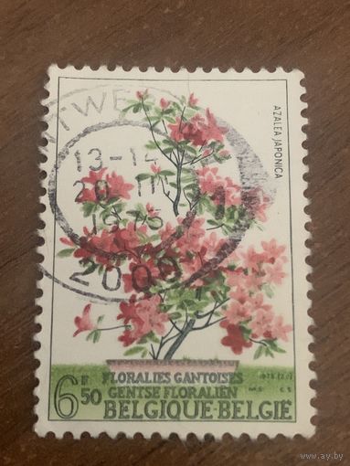 Бельгия 1975. Азалия японская. Марка из серии