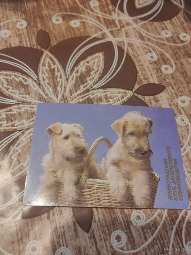 Календарик,реклама,1990