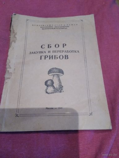 Сбор закупка и переработка грибов