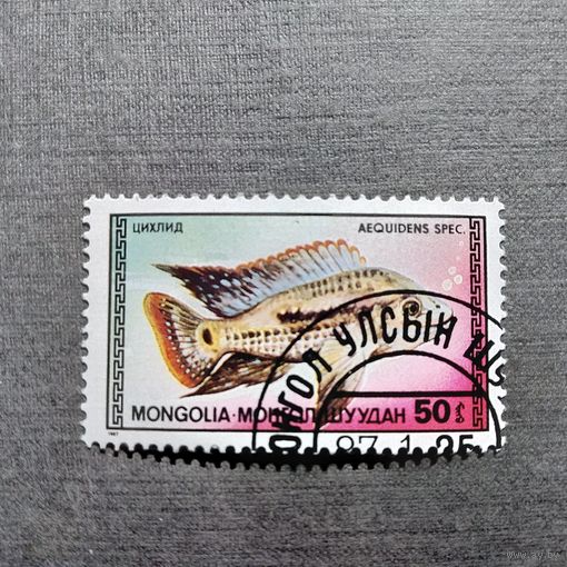 Марка Монголия 1987 год Рыба
