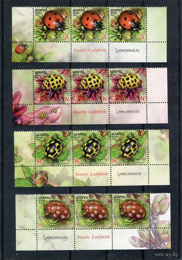 Беларусь 2015. Фауна. Божья коровка. Нижняя сцепка листа