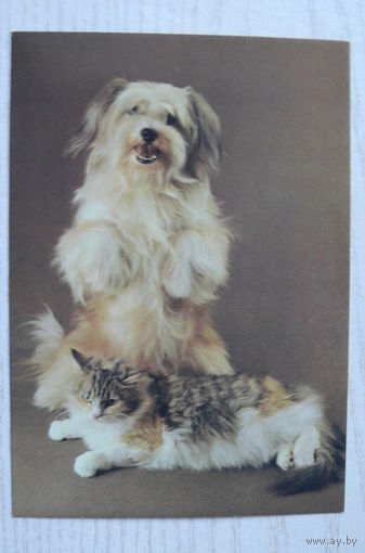 Ткаченко С., Друзья; 1990, чистая (кот и пёс).