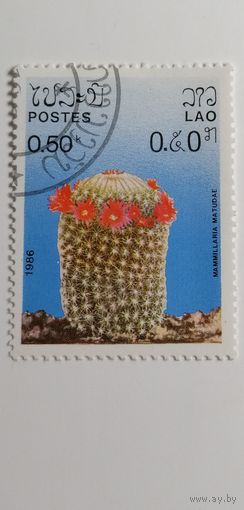 Лаос 1986. Кактусы