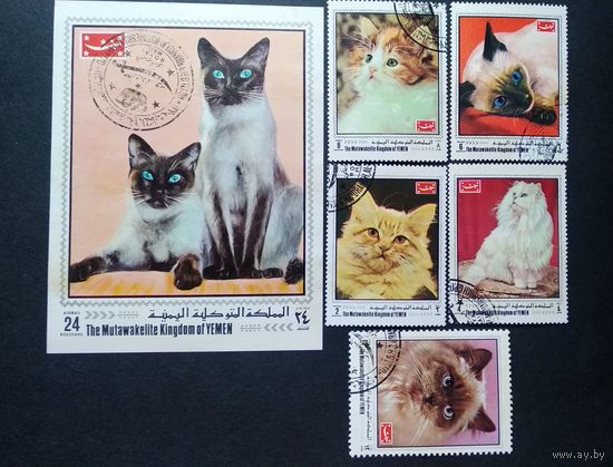 Фауна \88фа\коты блок + марки йемен