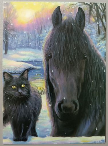 Лошадь и кот. Бриджит Вотх. Открытка, глянец