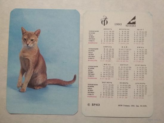 Карманный календарик. Котик.1993 год