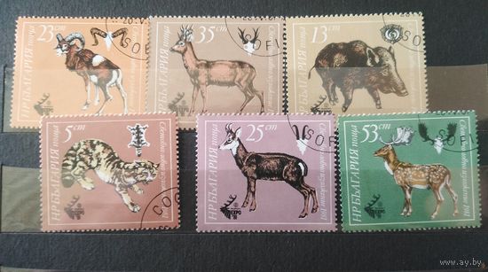 Болгария. 1981г. Охота.