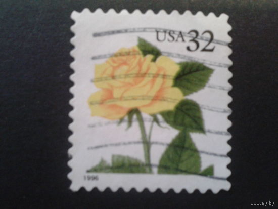 США 1996 стандарт, роза