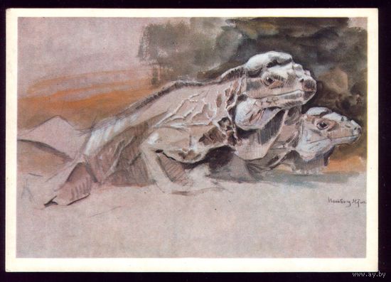 В.Ватагин Игуана