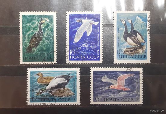 СССР. 1972 год. Фауна. Птицы (429)