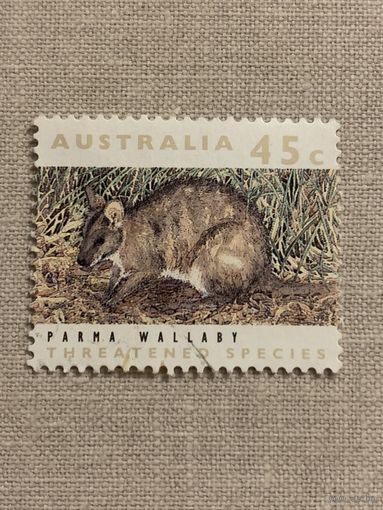 Австралия 1992. Parma Wallaby