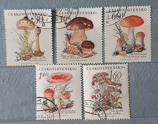 Чехословакия грибы 5шт