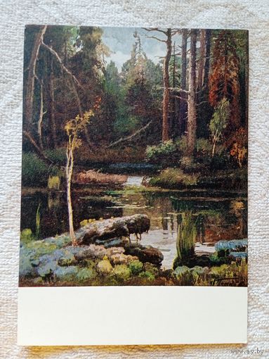 1957. Титков. Озеро Лешачье