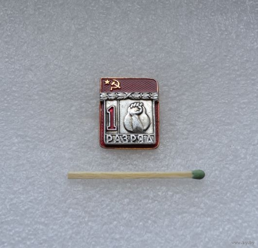 1 разряд. Гиря (Гиревой спорт).