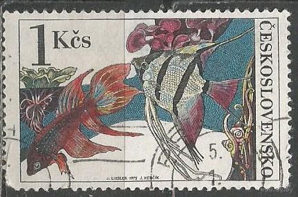 Чехословакия. Рыба Петушок. 1975г. Mi#2261.