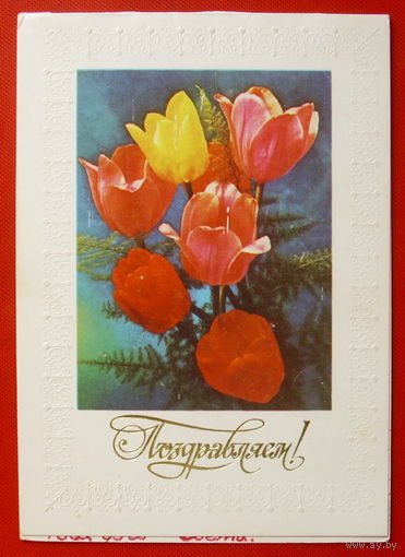 Поздравляем! Подписанная. Двойная. 1983 года. Костенко. # 178.