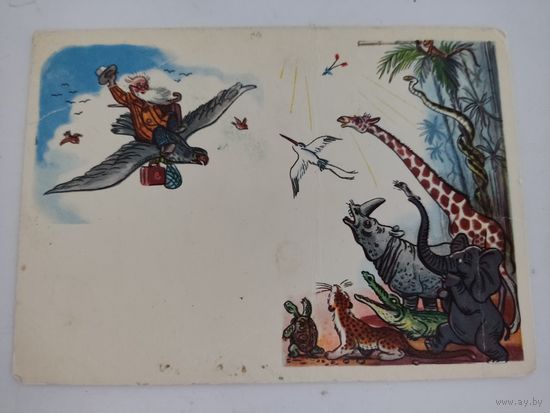 Открытка 1964г "Айболит!, художник В.Сутеев