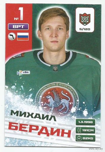 Михаил Бердин / Коллекция "Ак Барс Казань 2025-206"