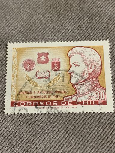 Чили 1974. Homenaje a las tucrzas armaoas y carabineros de Chille