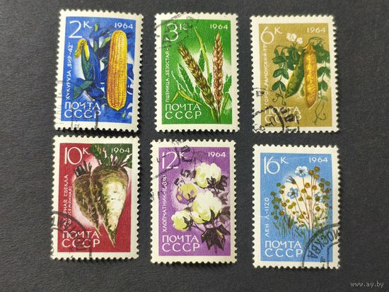 1964 СССР. Сельскохозяйственные растения