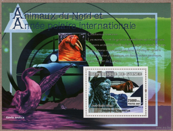 Гвинеи 2007 года Северные животные и Международный полюс MNH